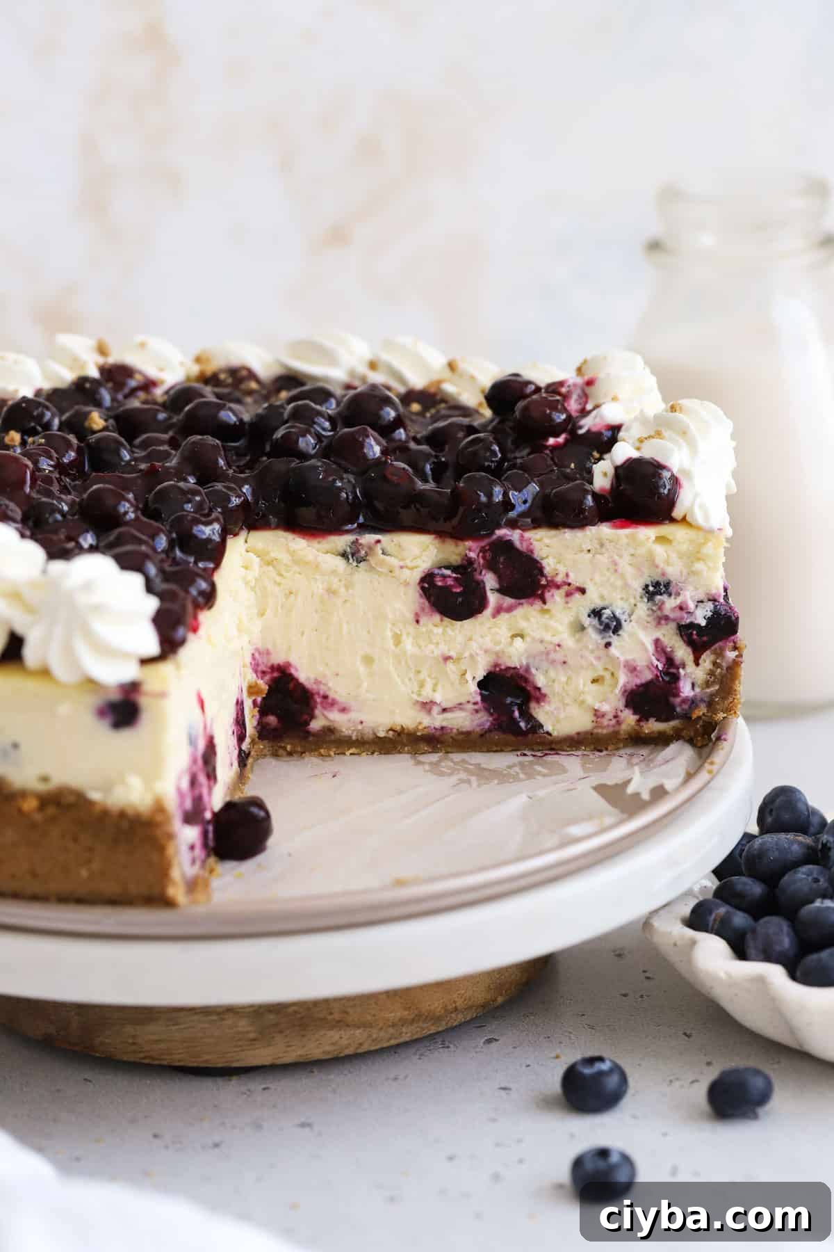 gluten-free blueberry cheesecake with whipped cream and fresh blueberry topping