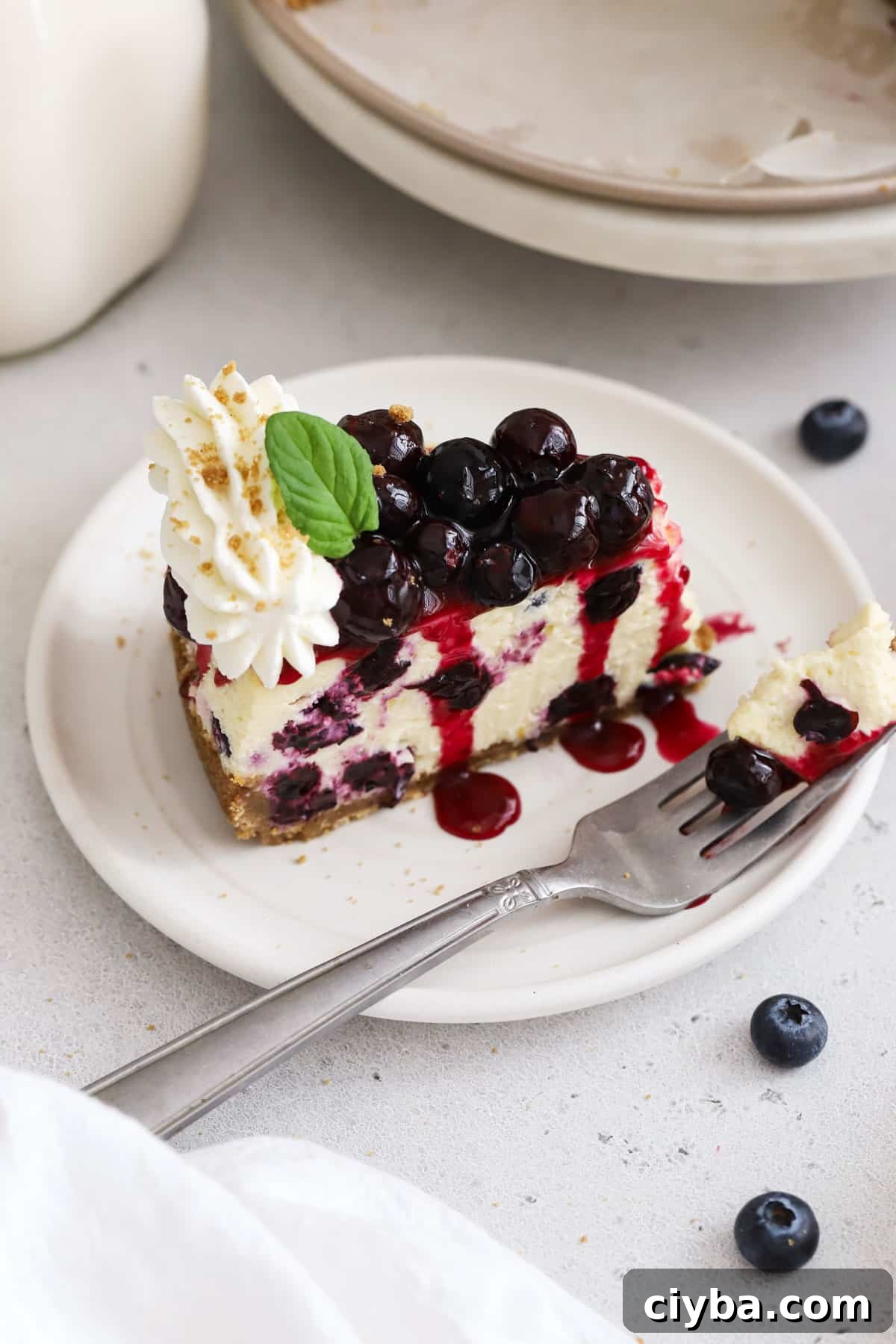 a slice of gluten-free blueberry cheesecake on a white dessert plate