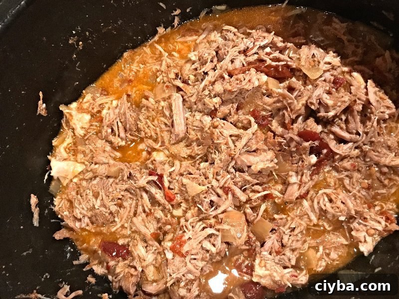 Insane Slow Cooker Pork Carnitas | SavorwithJennifer.com