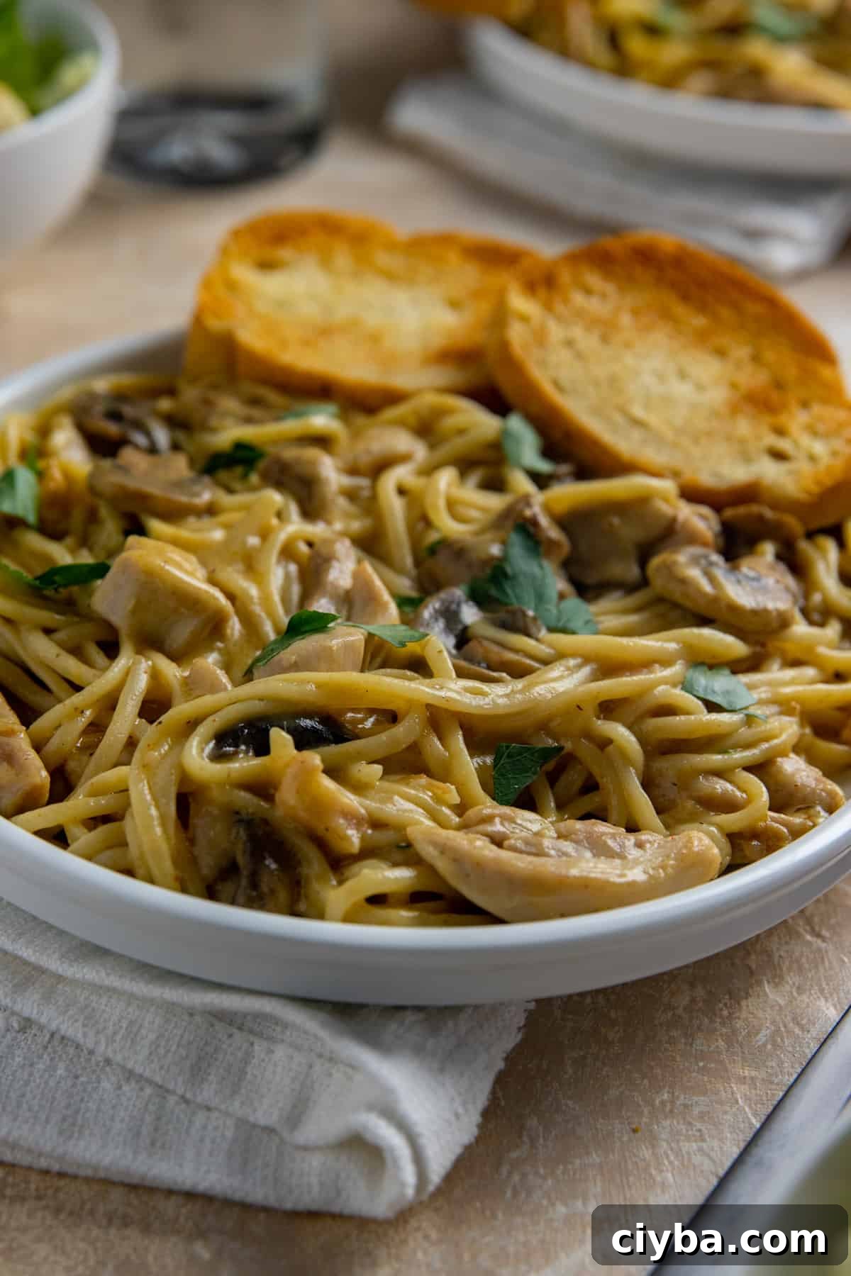 Southern Chicken Tetrazzini in a white bowl with two pieces of toasted buttered bread slices.