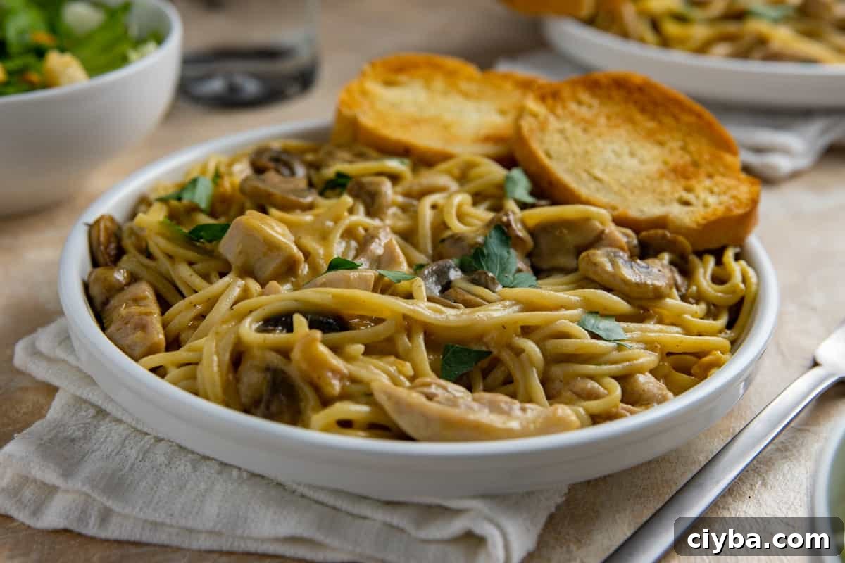 Chicken Tetrazzini in a white bowl with two pieces of toasted buttered bread slices.