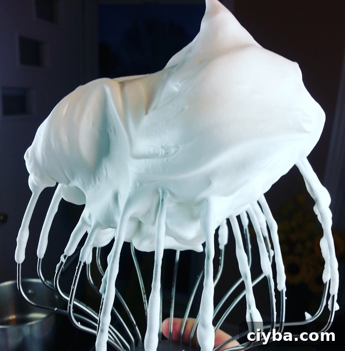 Aquafaba Whipped Meringue