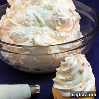 Aquafaba Swiss Buttercream Recipe