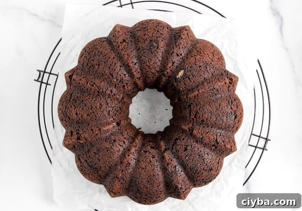 How to Make a Decadent Chocolate Fudge Cake 11 chocolate fudge bundt cake cooling on a wire rack