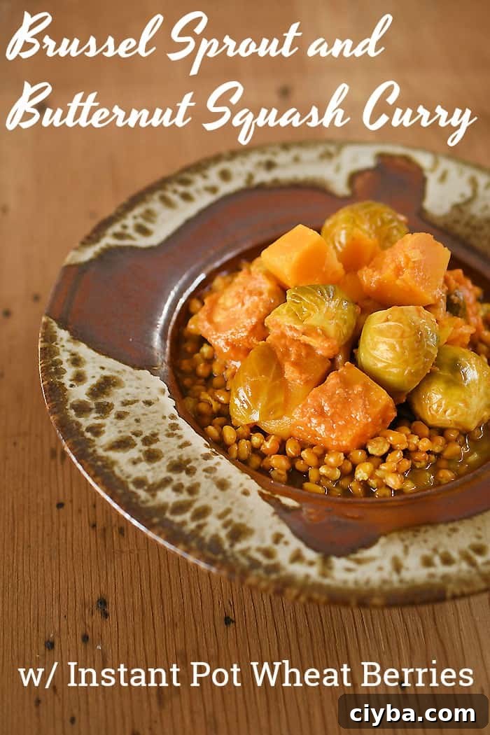Vegan Brussels Sprout and Butternut Squash Curry over Instant Pot Wheat Berries