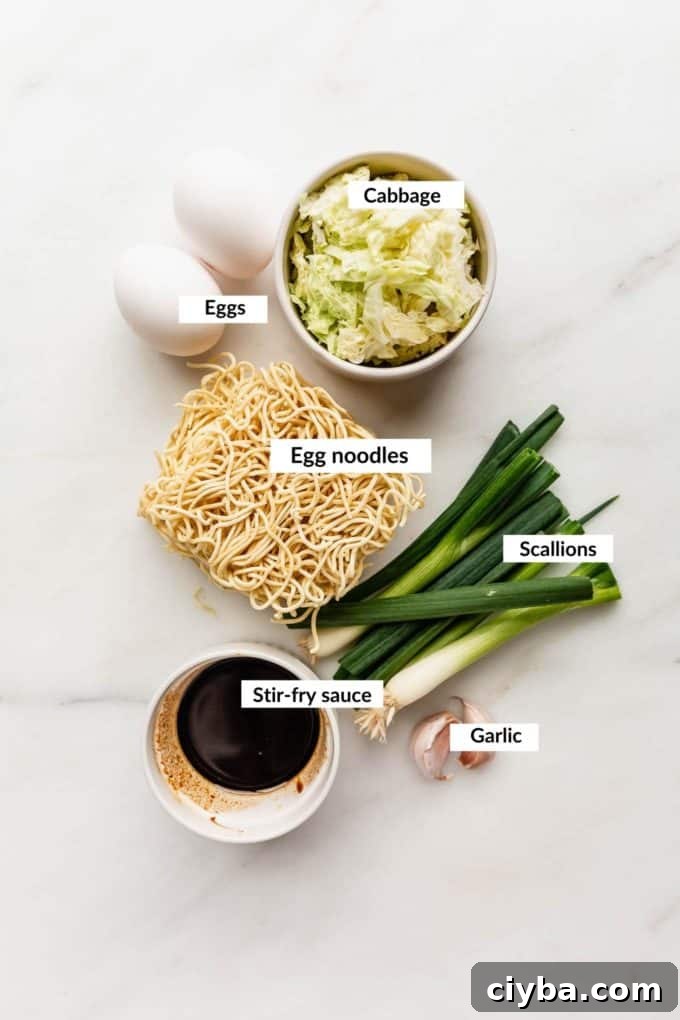 Ingredients to make mie goreng