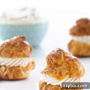 Cinnamon Churro Cream Puffs Recipe 2 Churro Cream Puffs are filled with a sweet cinnamon whipped cream. Truly amazing.