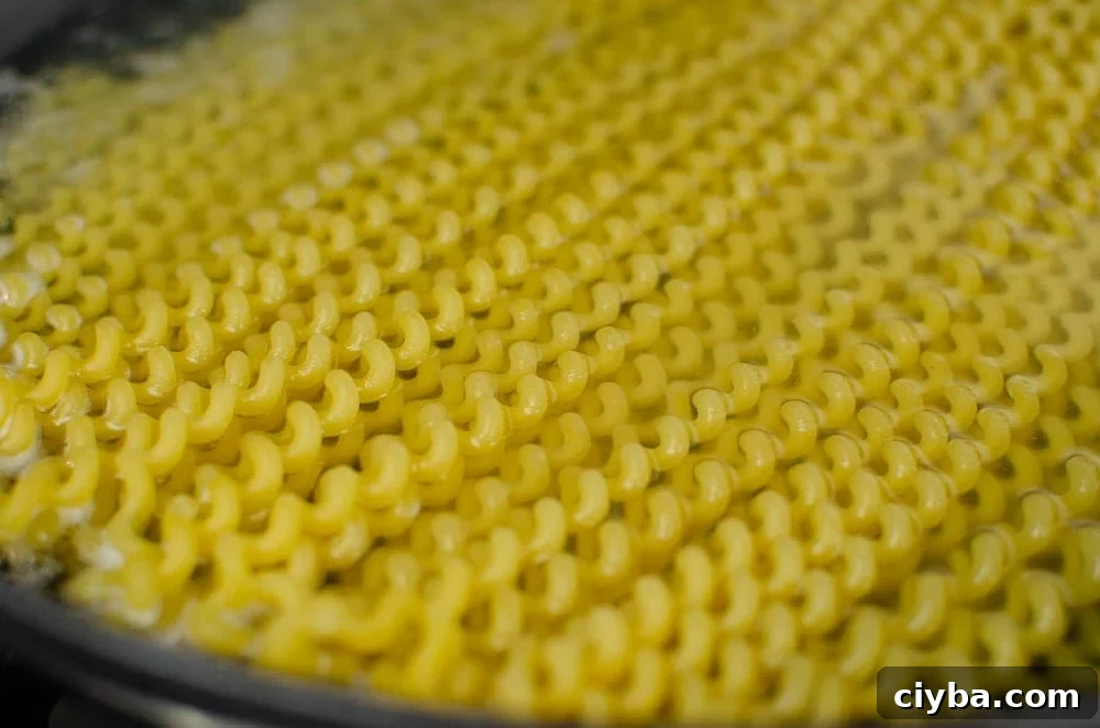 Fusilli Lunghi pasta cooking in boiling water in a cast iron dish