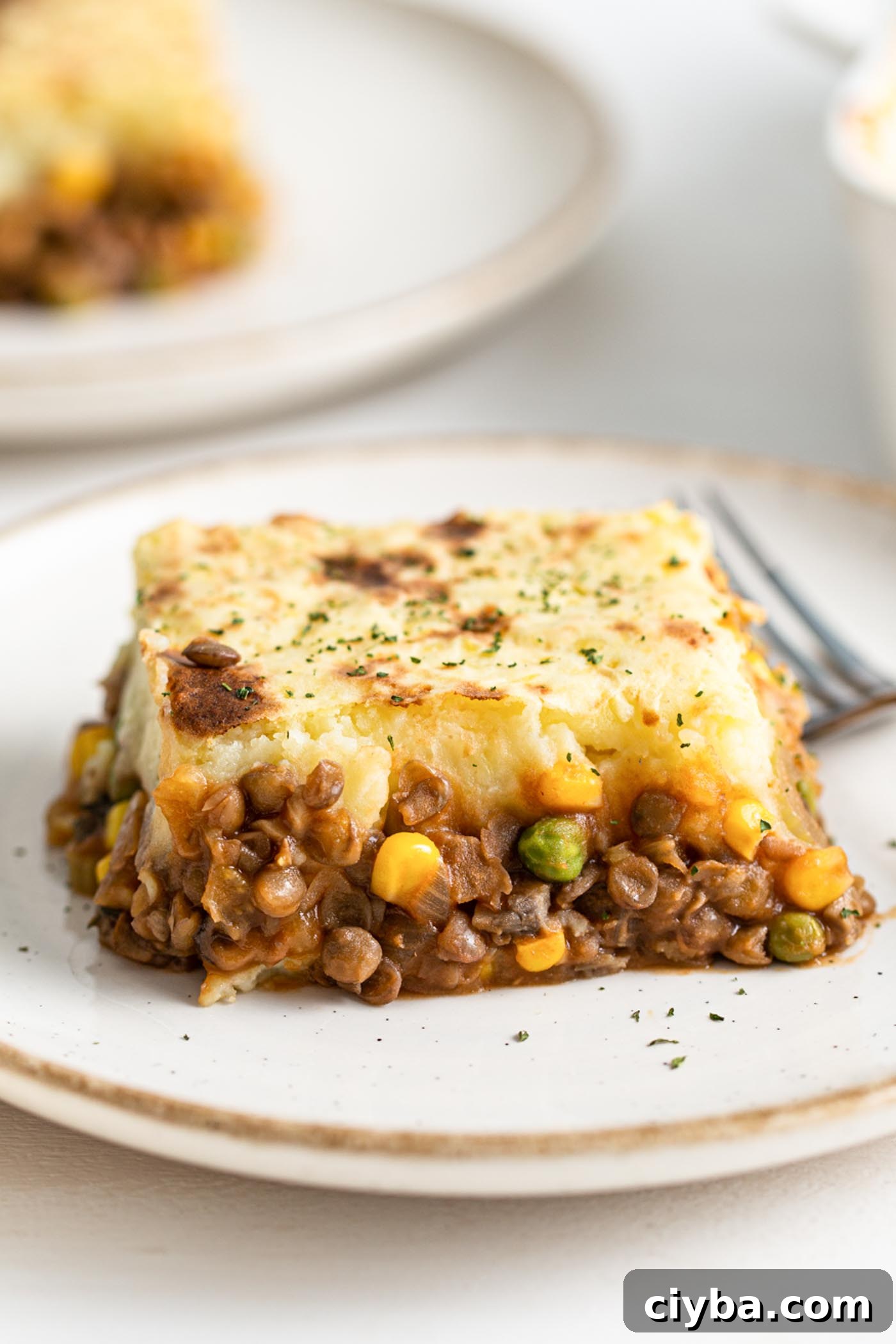 33 Flavorful Vegan Lentil Recipes for Every Meal 2 Large slice of lentil shepherd's pie on a plate.