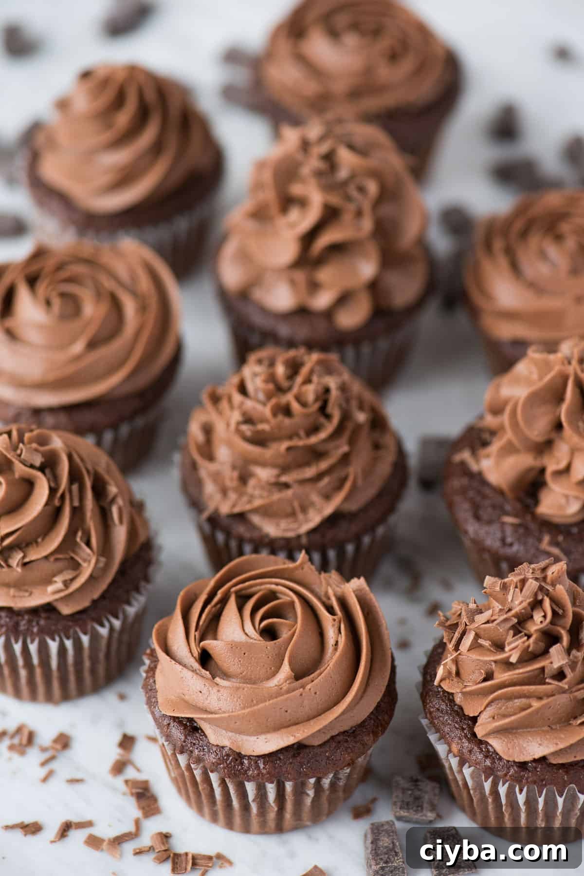 Moist Chocolate Cupcakes Recipe - Classic Homemade 2 chocolate cupcakes with chocolate frosting on white background