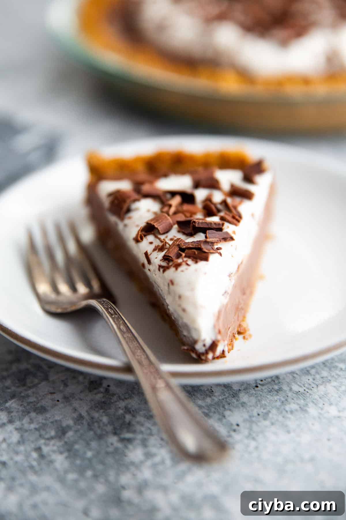 whipped coconut cream on top of a chocolate pudding pie