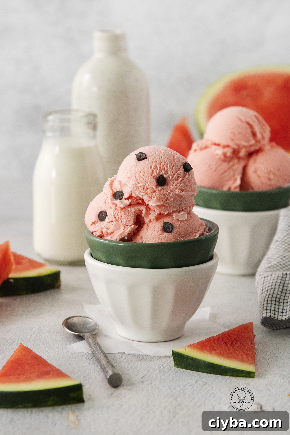 a bowl of watermelon ice cream with chocolate chips added to look like seeds.