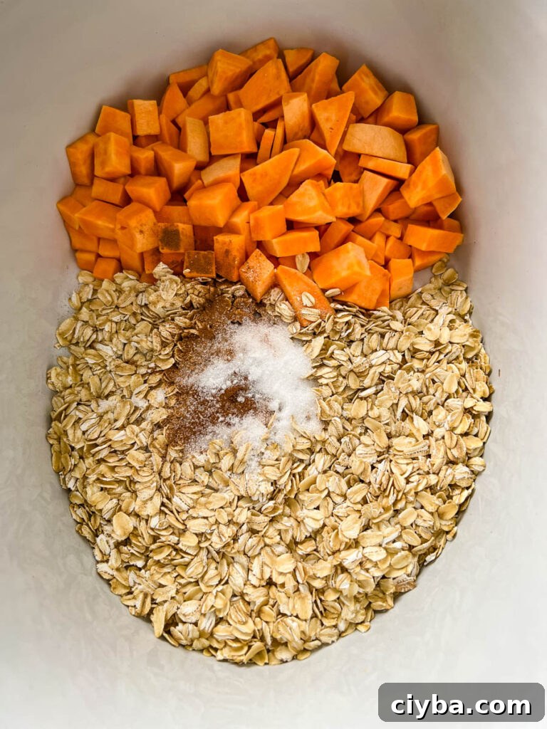 sweet potatoes, rolled oats, cinnamon, and nutmeg in a pot