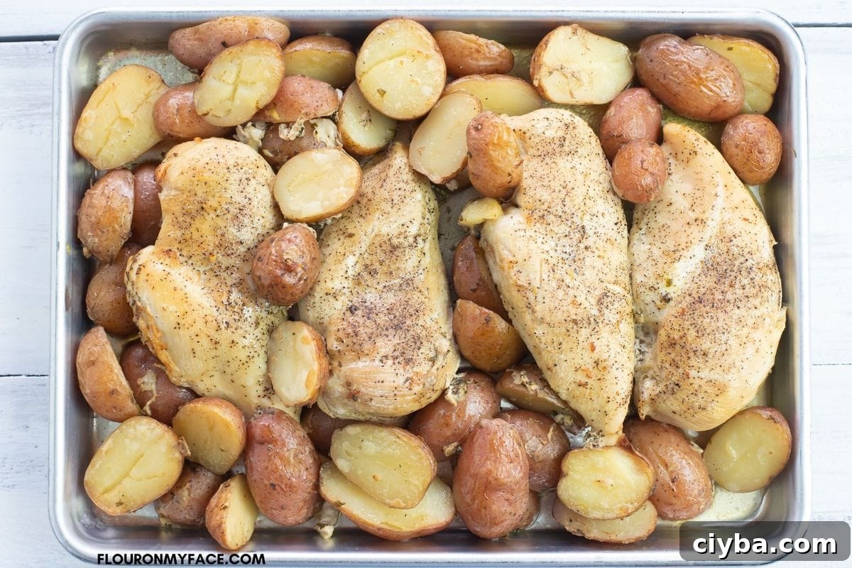 Slow Cooker Chicken and Potatoes with Garlic and Herbs 5 4 boneless chicken breasts and tender baby potatoes on a baking tray.