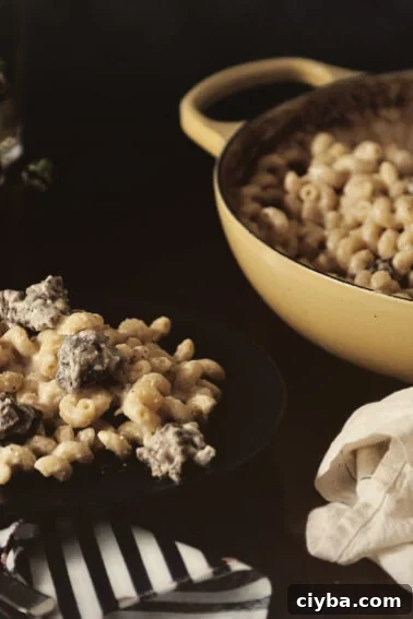 Bourbon Braised Short Ribs with Honey and Fig Mac and Cheese | Kita Roberts GirlCarnivore.com