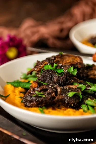 Braised Short Ribs Over Sweet Potato Puree | Kita Roberts GirlCarnivore