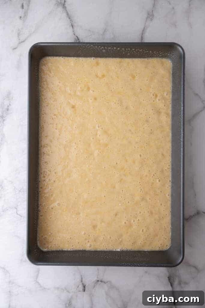 How to Make a Tornado Cake: Step-by-Step Recipe 7 raw batter in a pan