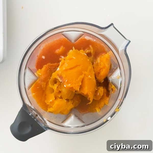 Ingredients combined in blender for cheese sauce.