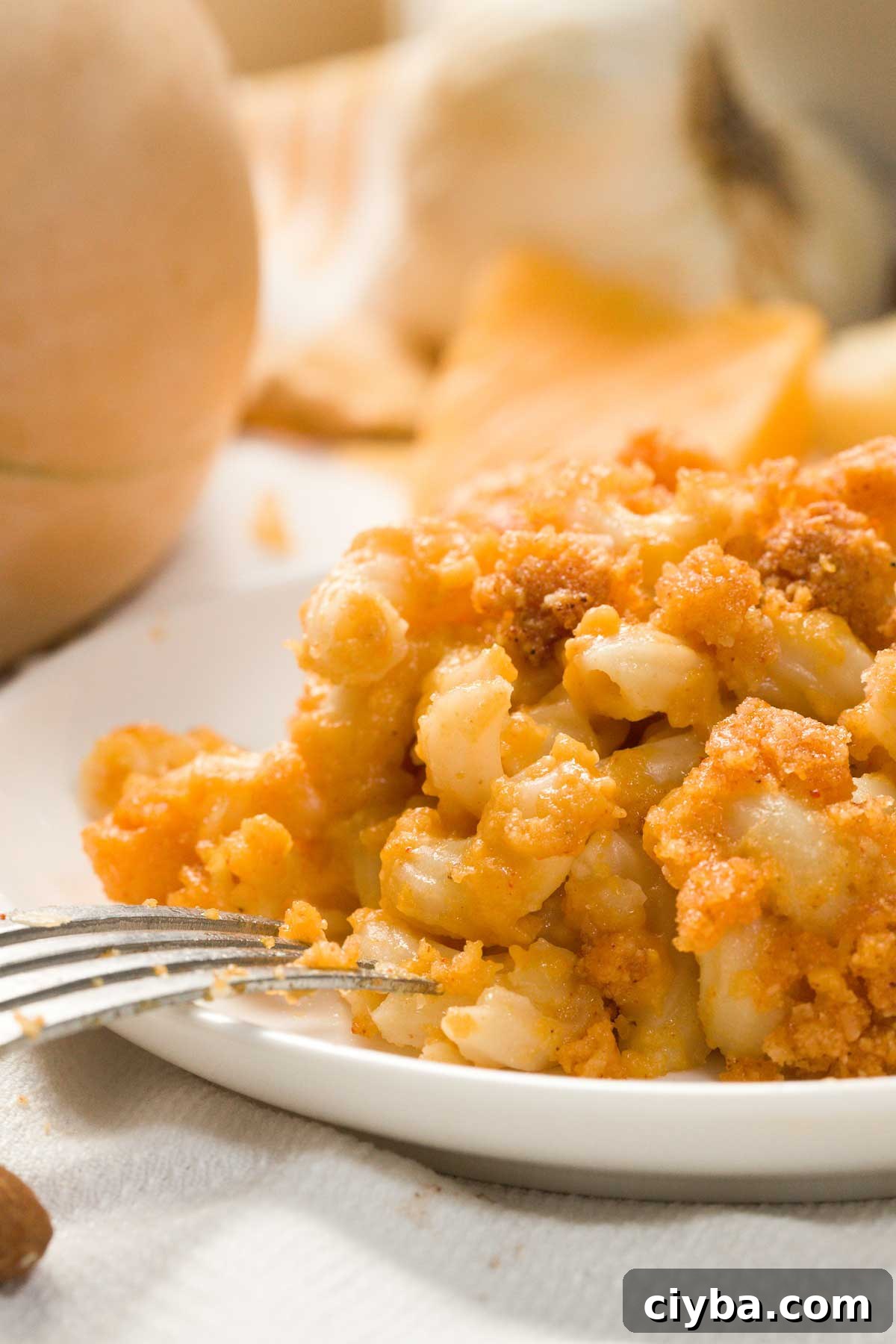 Plate of Mac and Cheese Gluten-Free with Roasted Butternut Squash.
