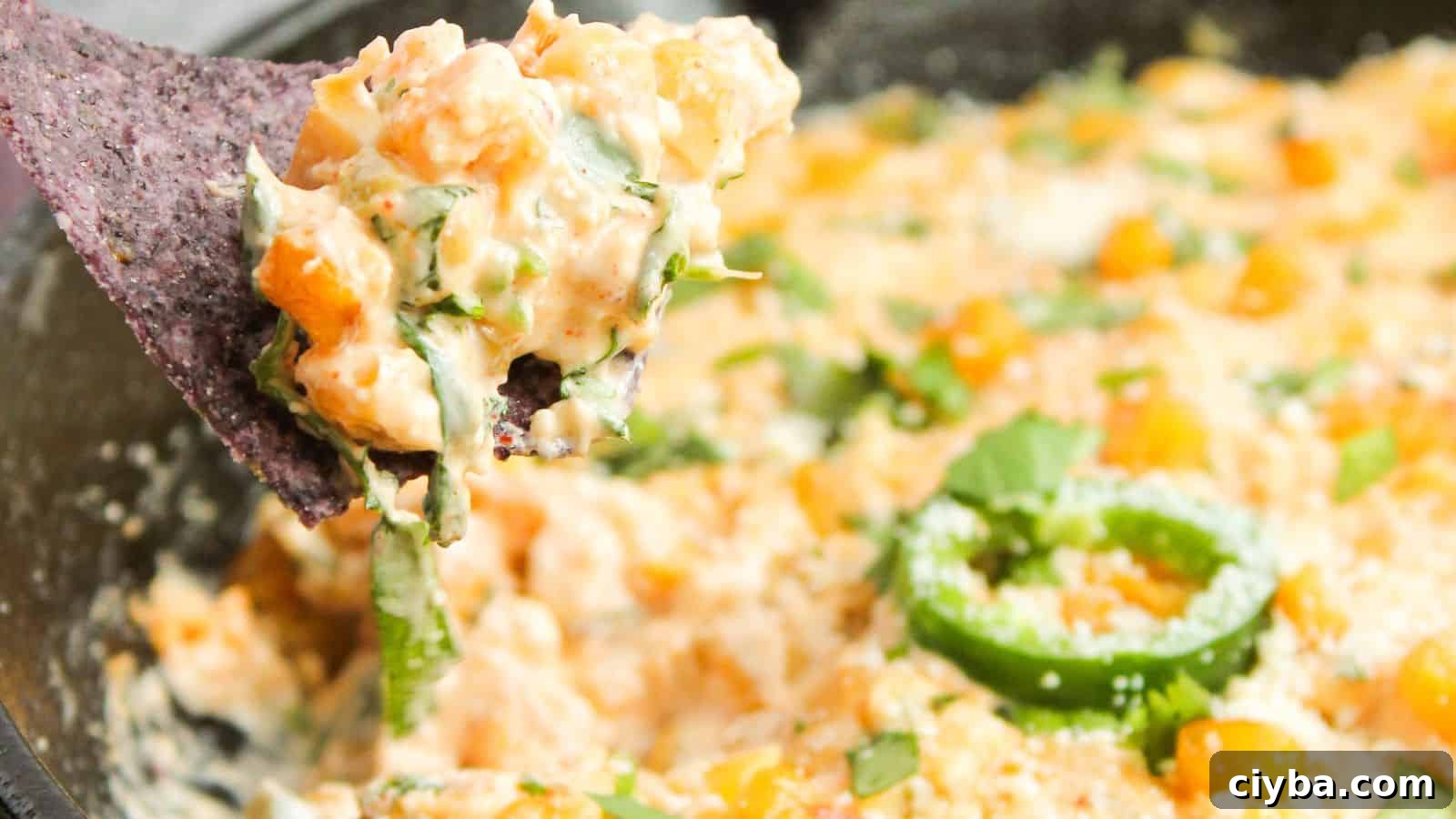 Despite a Busy Schedule, I Completed 17 Dips 11 Close-up of a blue corn chip dipped in a creamy cheese and vegetable mixture, garnished with cilantro and sliced jalapeños.