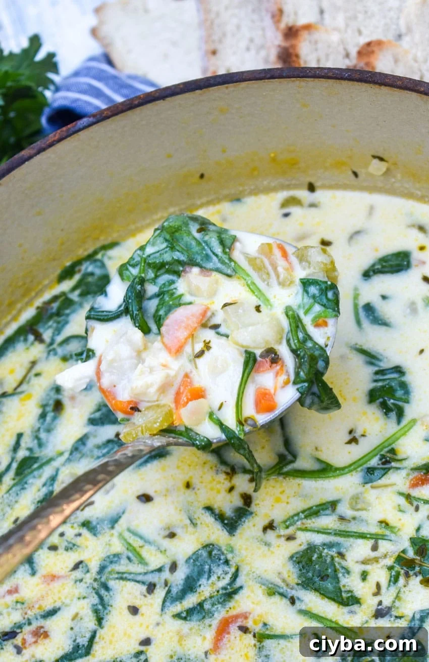 Creamy Chicken Florentine Soup with Spinach and Parmesan 6 a ladle scooping chicken florentine soup out of a large red dutch oven