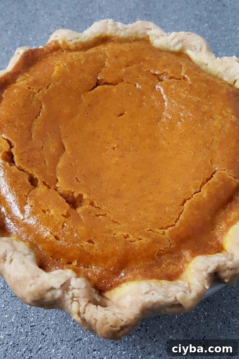 a small Pumpkin Pie in a small pie pan.