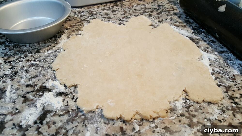 pie dough rolled out flat.