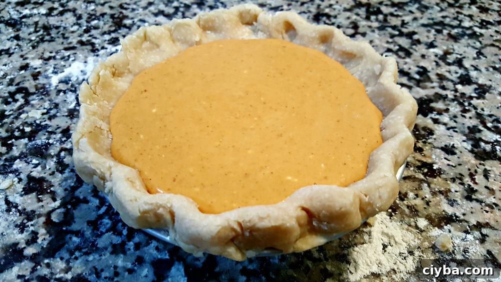 pumpkin pie filling poured into crust.