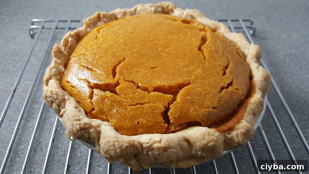 Small Pumpkin Pie cooling on a wire rack.
