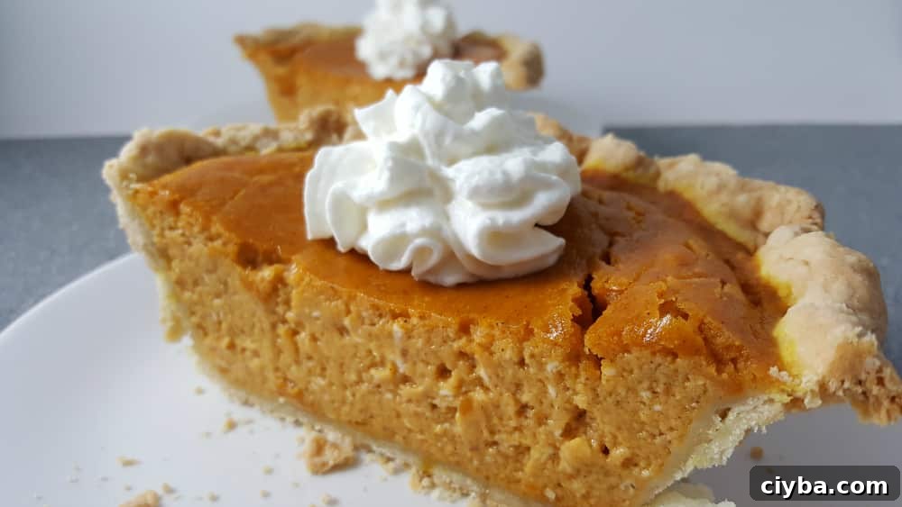 Pumpkin Pie slice on a plate.