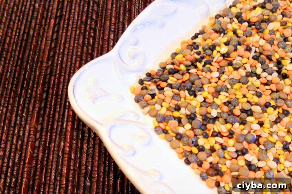An overhead view of uncooked lentils that are yellow, orange, and brown on a white plate.