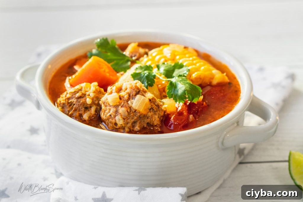 Instant Pot Mexican Meatball Soup Caldo de Albondigas 2 Instant Pot Mexican-style Meatball Soup