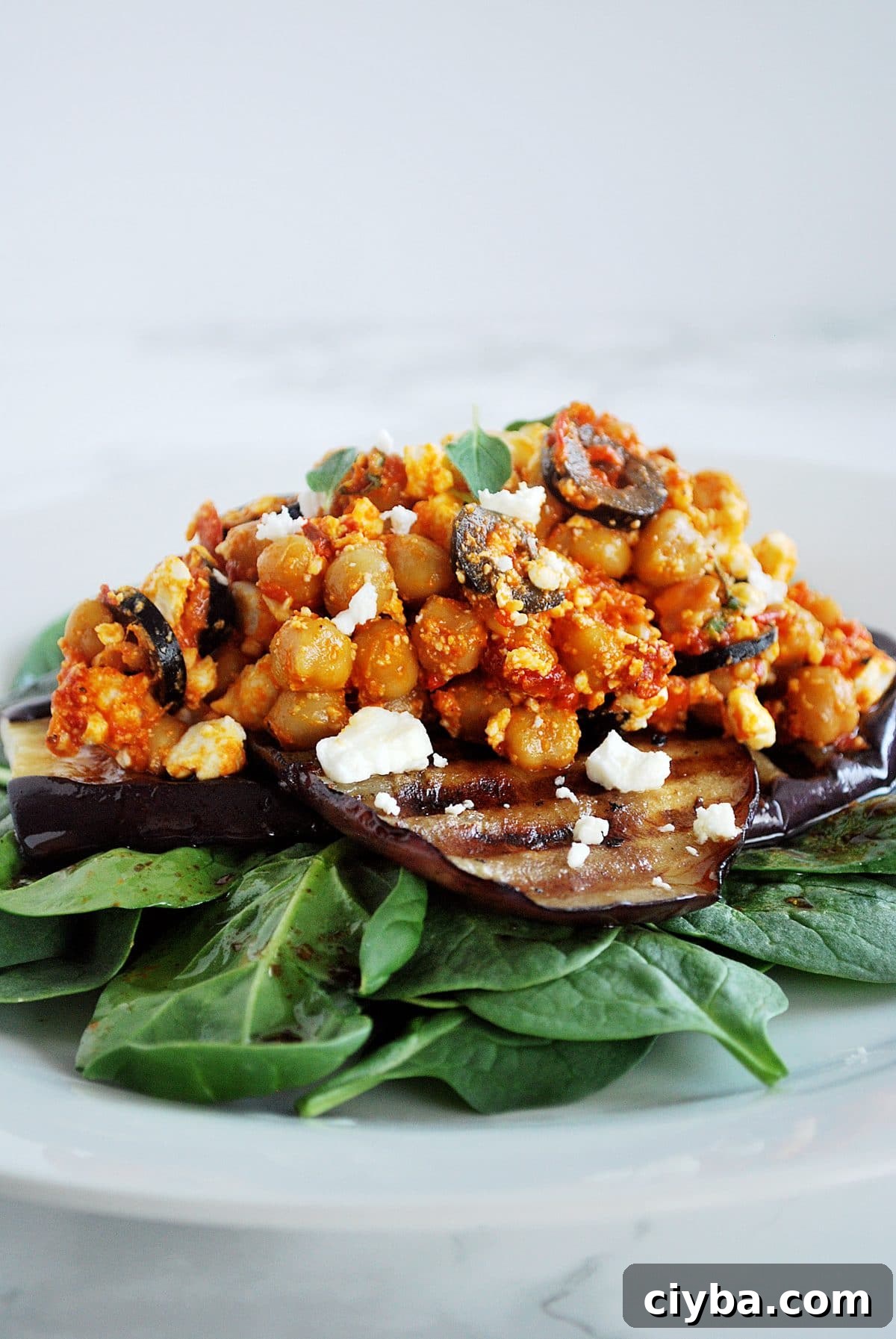 Mediterranean Chickpea Salad with Grilled Eggplant 2 A side view of a plate of chickpea salad with grilled eggplant.