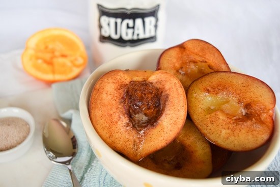 Honey Roasted Plums and Peaches with Cinnamon 2 roasted plums and peaches