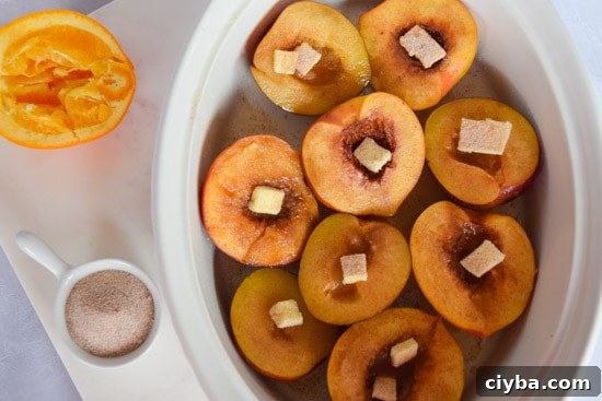 Honey Roasted Plums and Peaches with Cinnamon 4 roasted plums and peaches